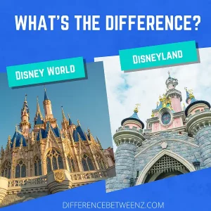 Difference between Disney World and Disneyland