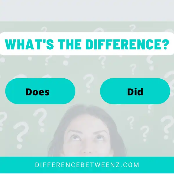 Difference between Does and Did