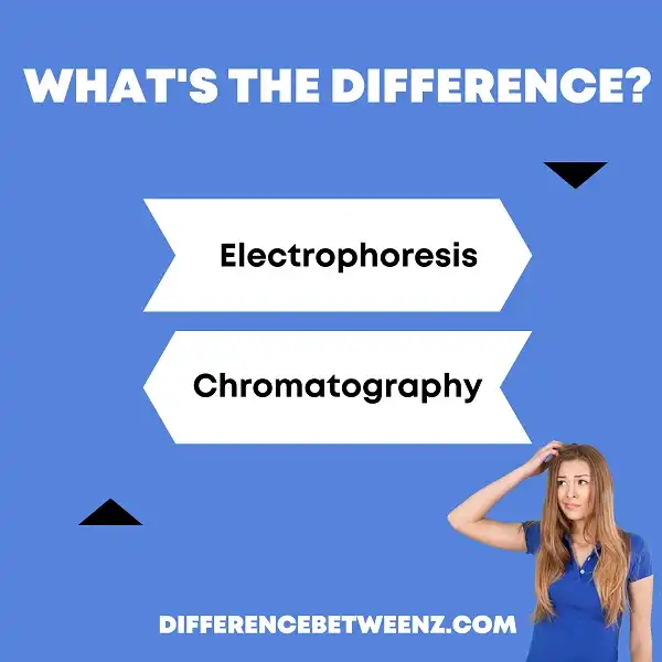 Difference between Electrophoresis and Chromatography