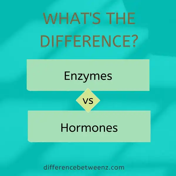 Difference between Enzymes and Hormones
