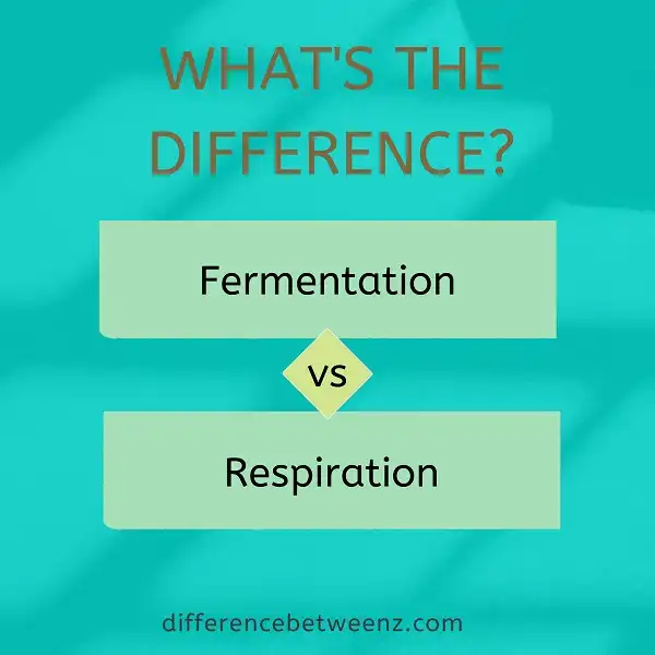 Difference between Fermentation and Respiration