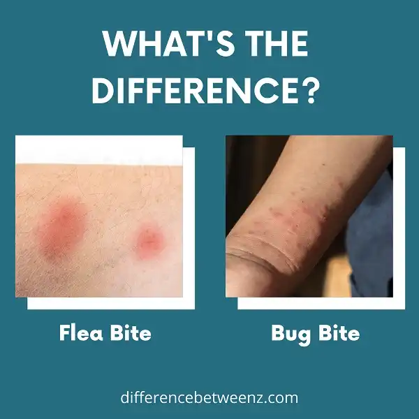 Difference Between Flea And Bed Bug Bites - Difference Betweenz