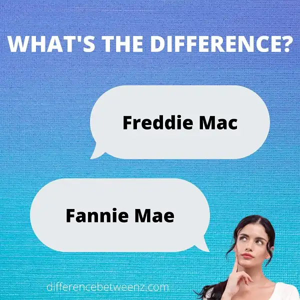 Difference between Freddie Mac and Fannie Mae