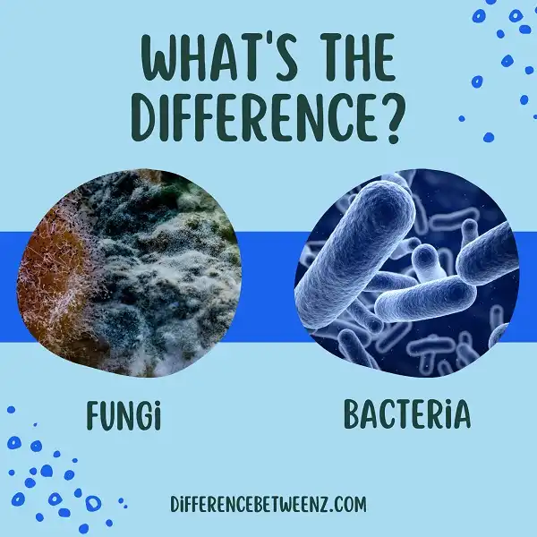 Difference between Fungi and Bacteria