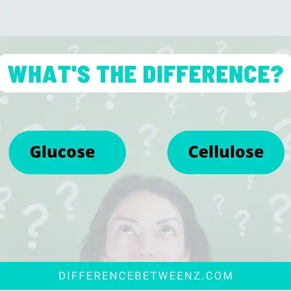 Difference between Glucose and Cellulose