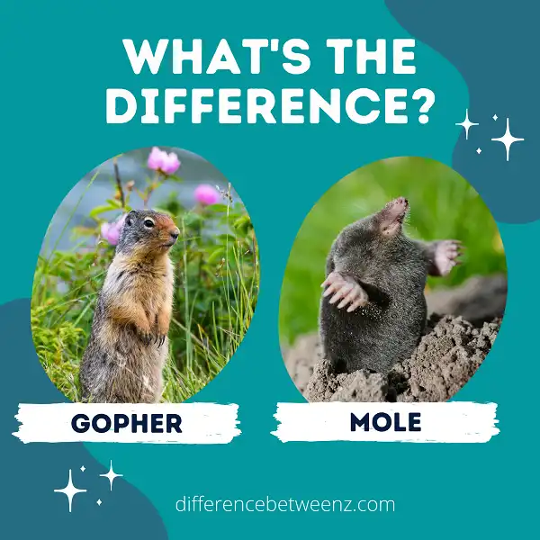 Difference between Gopher and Mole - Difference Betweenz