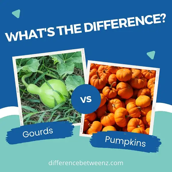 Difference between Gourds and Pumpkins