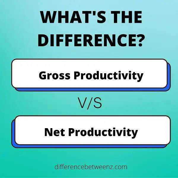 Difference between Gross and Net Productivity