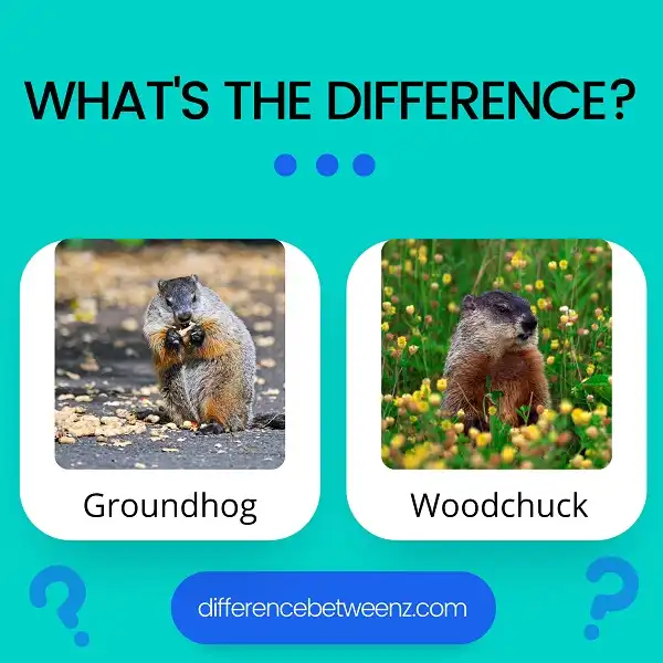 Difference between Groundhog and Woodchuck