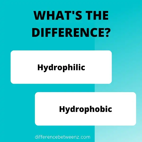 Difference between Hydrophilic and Hydrophobic