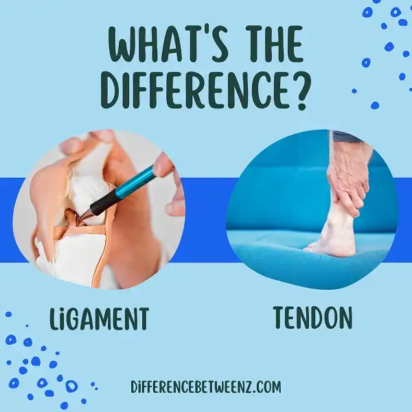 Difference between Ligaments and Tendons