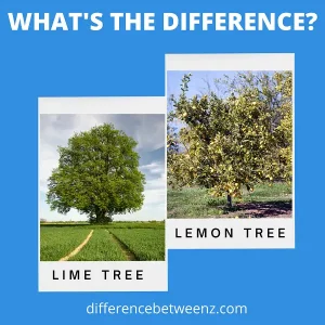 Difference between Lime and Lemon Trees