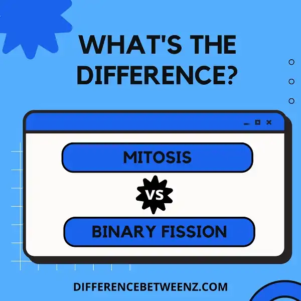 Difference between Mitosis and Binary Fission