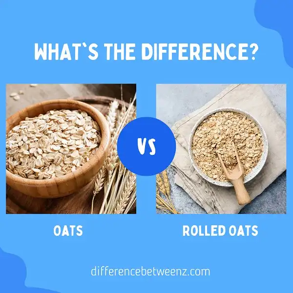 Difference between Oats and Rolled Oats