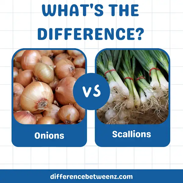 Difference between Onions and Scallions