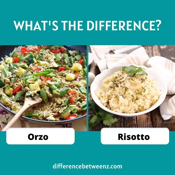 Difference between Orzo and Risotto