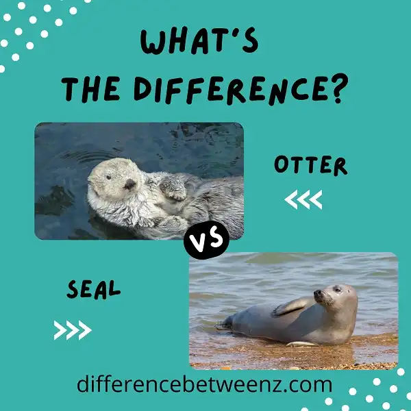 Difference between Otter and Seal