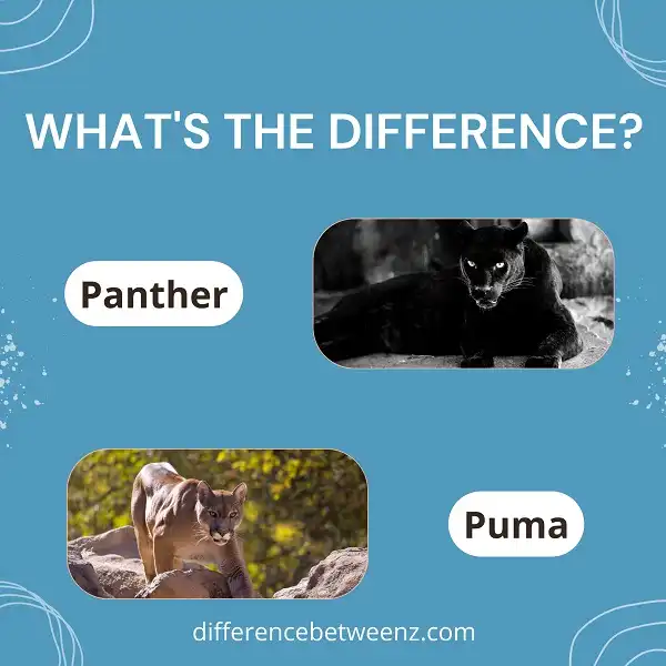 Difference between Panther and Puma