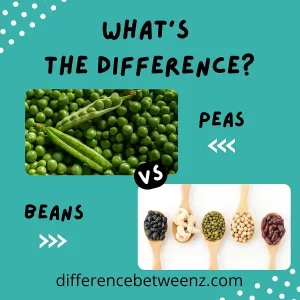 Difference between Peas and Beans