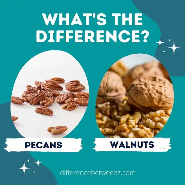 Difference between Pecans and Walnuts