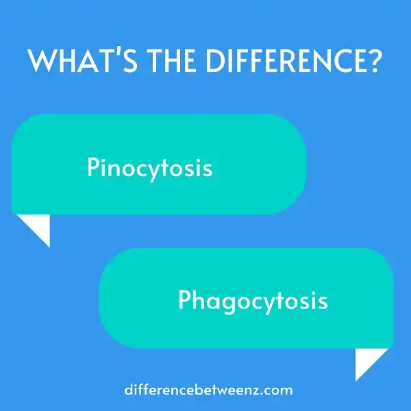 Difference between Pinocytosis and Phagocytosis