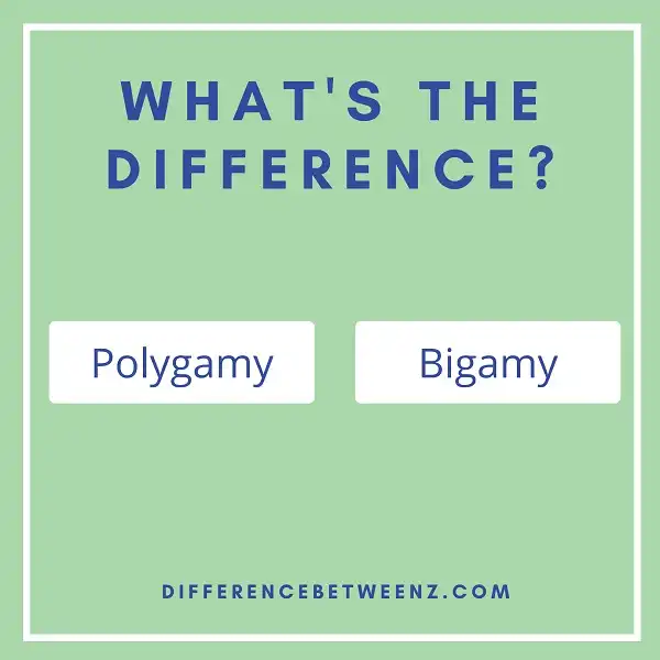 Difference between Polygamy and Bigamy