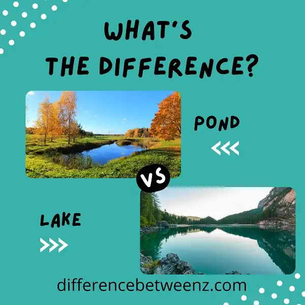 Difference between Pond and Lake