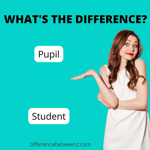 difference-between-pupil-and-student-difference-betweenz