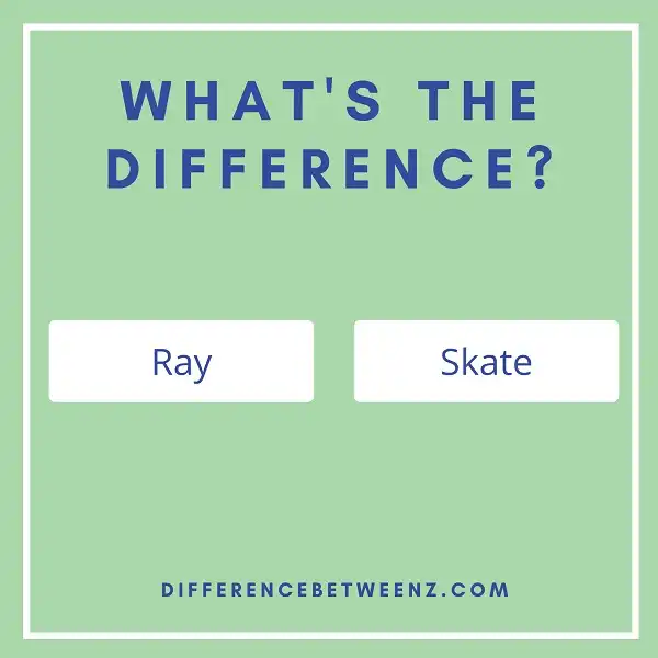Difference between Ray and Skate