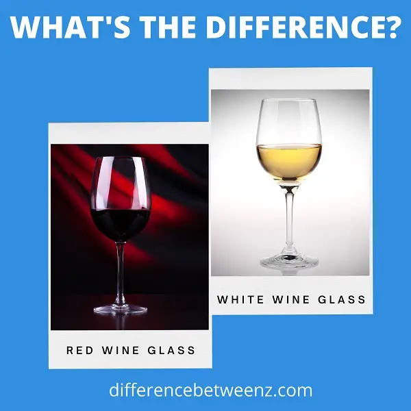 Difference between Red and White Wine Glasses