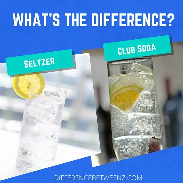 Difference between Seltzer and Club Soda
