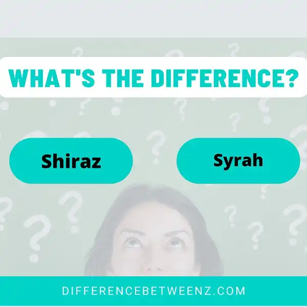Difference between Shiraz and Syrah