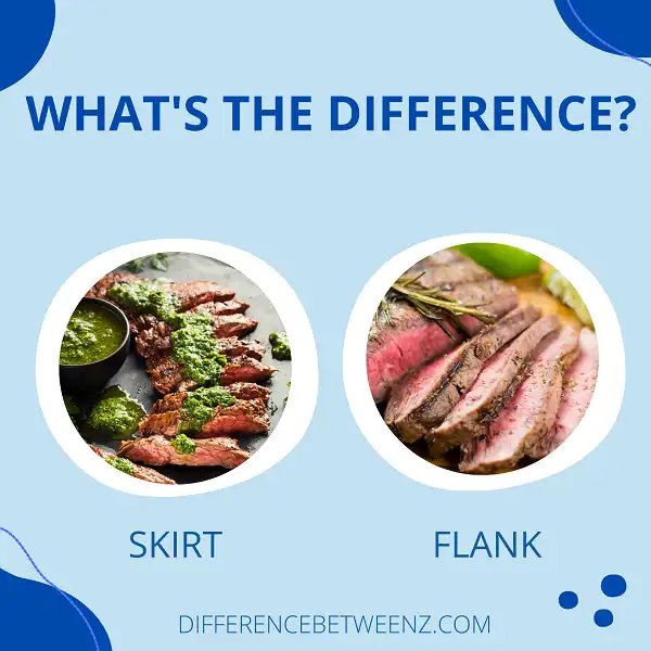 Difference between Skirt and Flank - Difference Betweenz