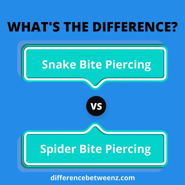 Difference between Snake Bite and Spider Bite Piercing