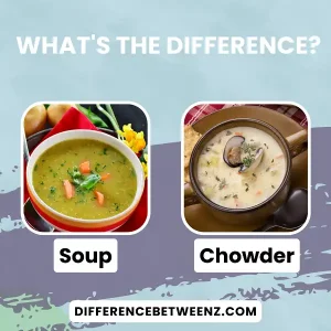 Difference between Soup and Chowder