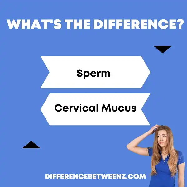 Difference between Sperm and Cervical Mucus