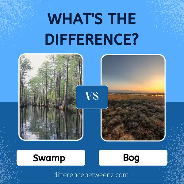 Difference between Swamp and Bog