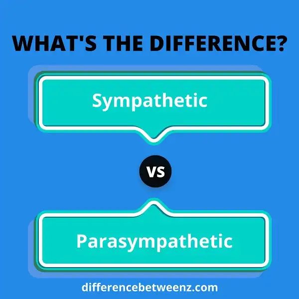 Difference between Sympathetic and Parasympathetic