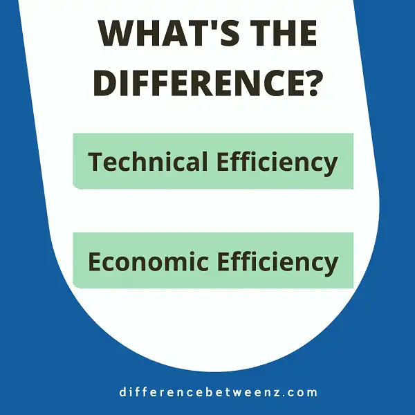 Difference between Technical Efficiency and Economic Efficiency