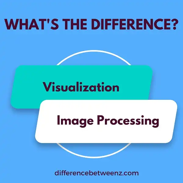 Difference between Visualization and Image Processing