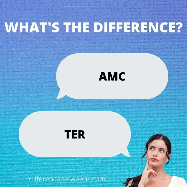 Difference between AMC and TER