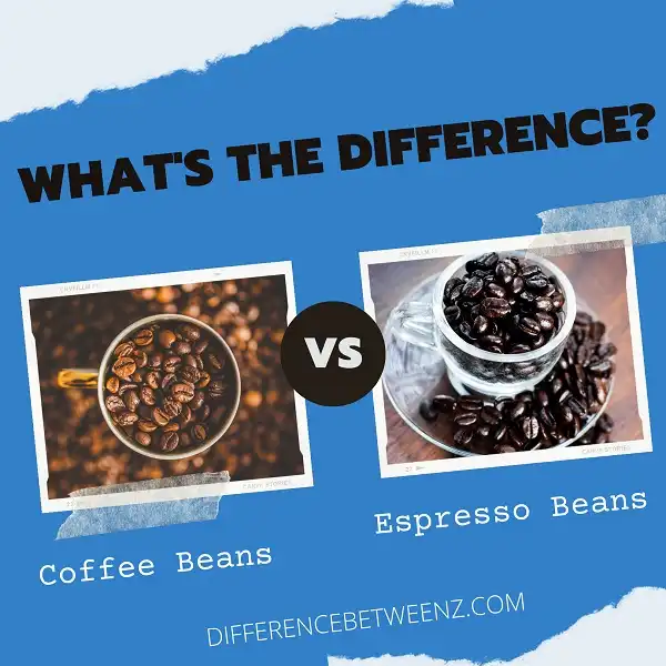 Difference between Coffee Beans and Espresso Beans