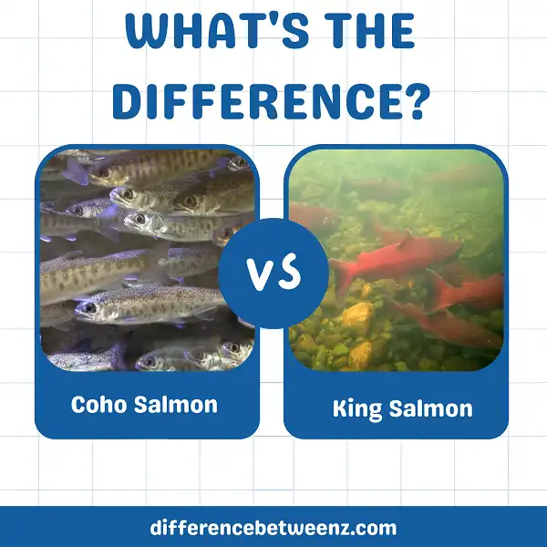 Difference between Coho and King Salmon
