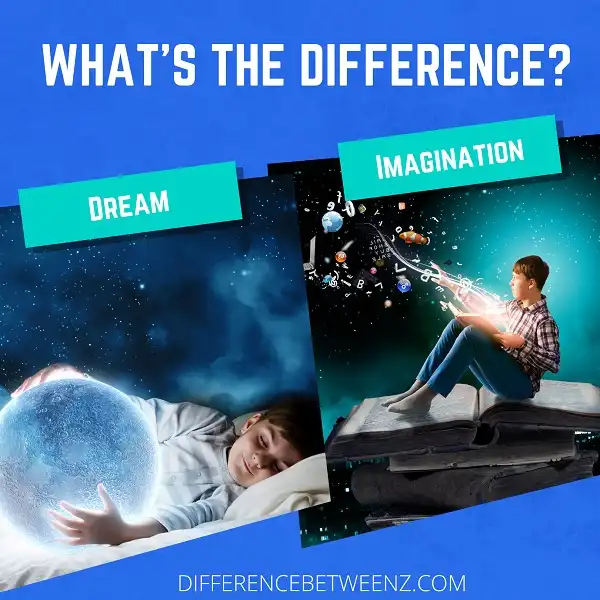 Difference between Dream and Imagination