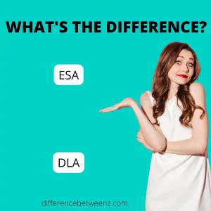 Difference between ESA and DLA