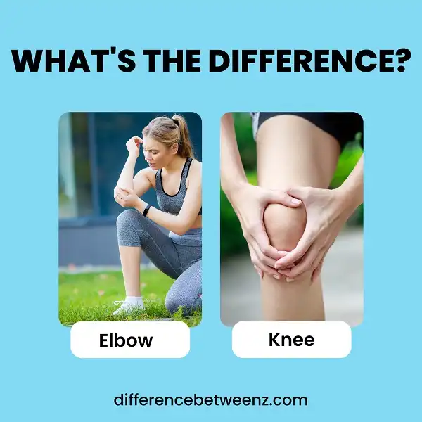 Difference between Elbow and Knee