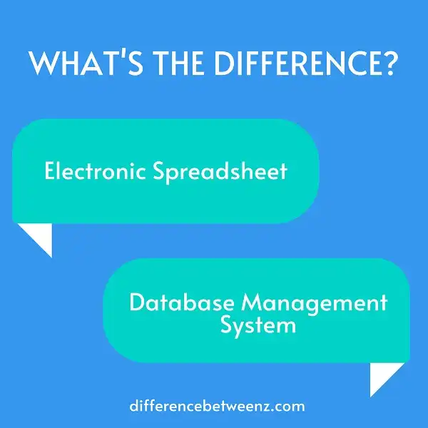 Difference between Electronic Spreadsheet and Database Management System
