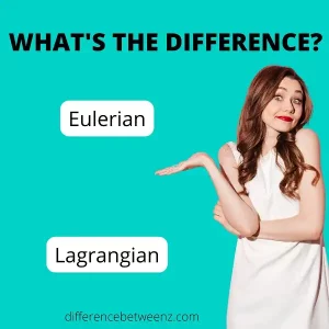Difference between Eulerian and Lagrangian