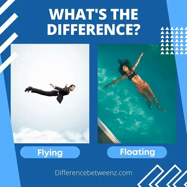 Difference between Flying and Floating