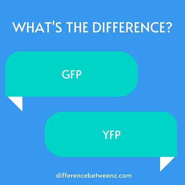 Difference between GFP and YFP